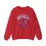Noah Kahan Fenway Fanatic Unisex Heavy Blend™ Crewneck Sweatshirt