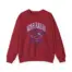 Noah Kahan Fenway Fanatic Unisex Heavy Blend™ Crewneck Sweatshirt