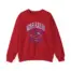 Noah Kahan Fenway Fanatic Unisex Heavy Blend™ Crewneck Sweatshirt