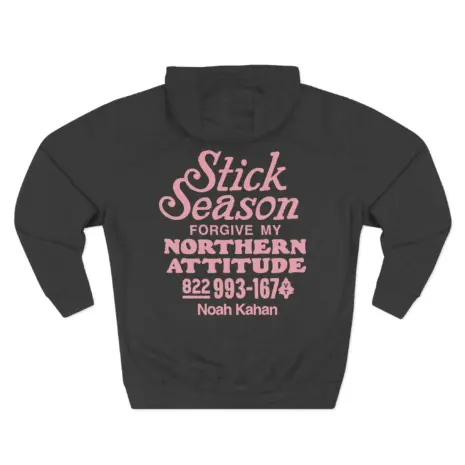 Noah-Kahan-Northern-Attitude-Three-Panel-Fleece-Hoodie-4 Noah Kahan Northern Attitude Three-Panel Fleece Hoodie