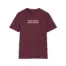 Noah Kahan Stick Season Blue Spruce Unisex Softstyle T-Shirt